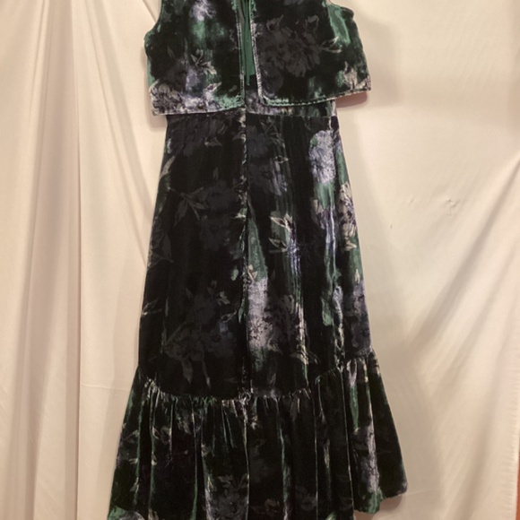 Eva Franco Anthropologie forest green velvet Floral maxi dress Special Occasion - Picture 7 of 10